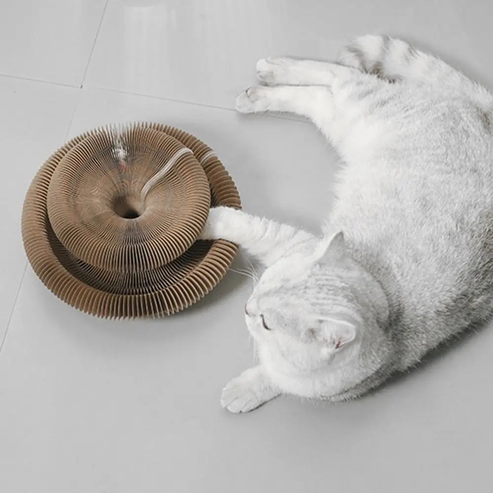 Durable Kitty Kurlz Cat Toy Cat Accordion Magic Organ Cat Scratching Board Cat Toy Ball Scratch Pad Cat Scratcher