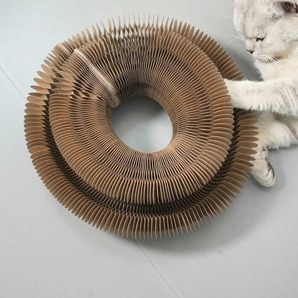 Durable Kitty Kurlz Cat Toy Cat Accordion Magic Organ Cat Scratching Board Cat Toy Ball Scratch Pad Cat Scratcher