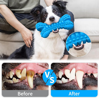 Durable Squeaky Dog Chew Toys for Aggressive Chewers - Indestructible Natural Rubber Bones for Large Breeds and Medium Teeth Cleaning