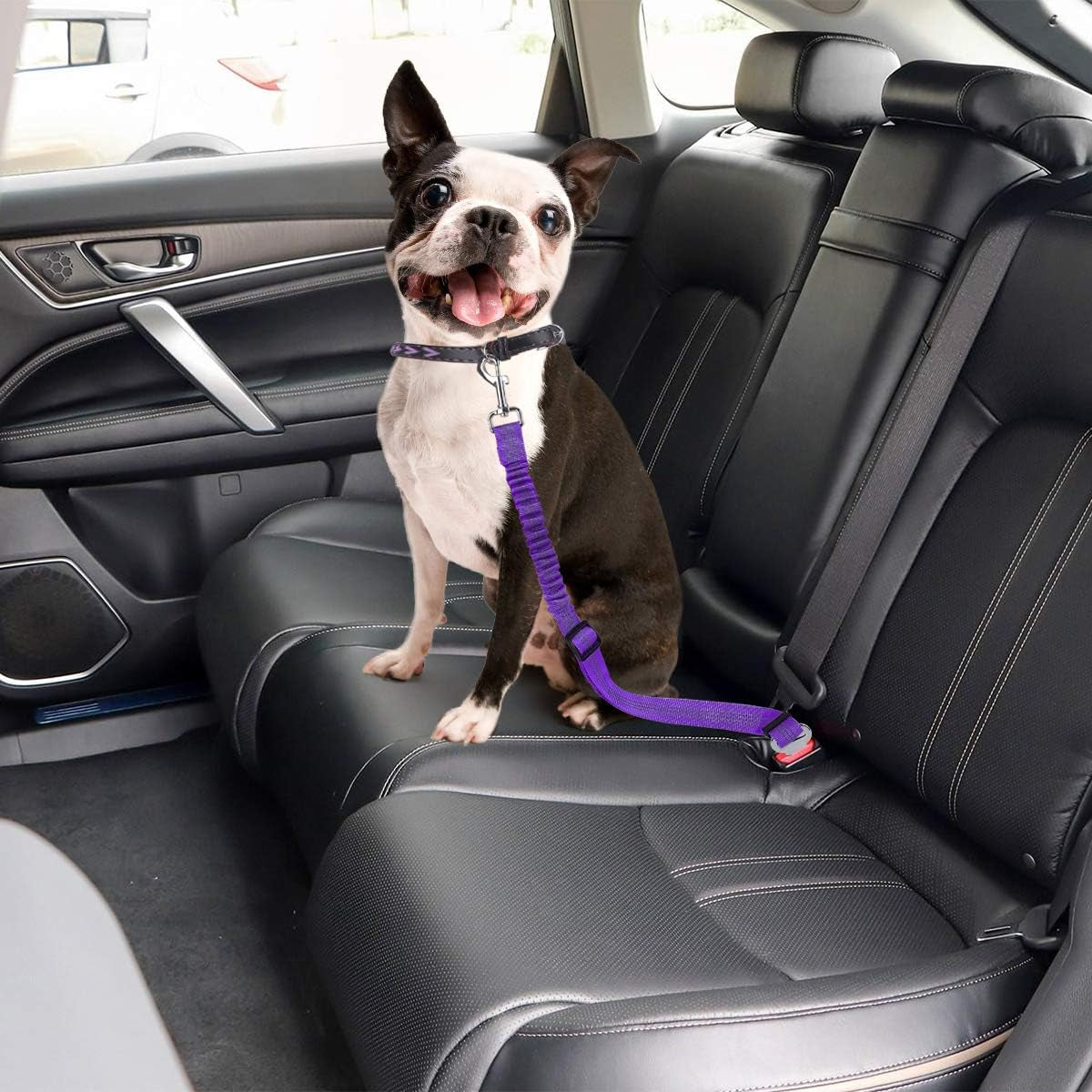 Dog Seat Belt, 3 Piece Set Retractable Dog Car Harness between Control and Freedom - Adjustable Length Heavy Duty & Elastic Pet Car Seat Belt Safety Leads for Pets Vehicle Travel and Daily Use