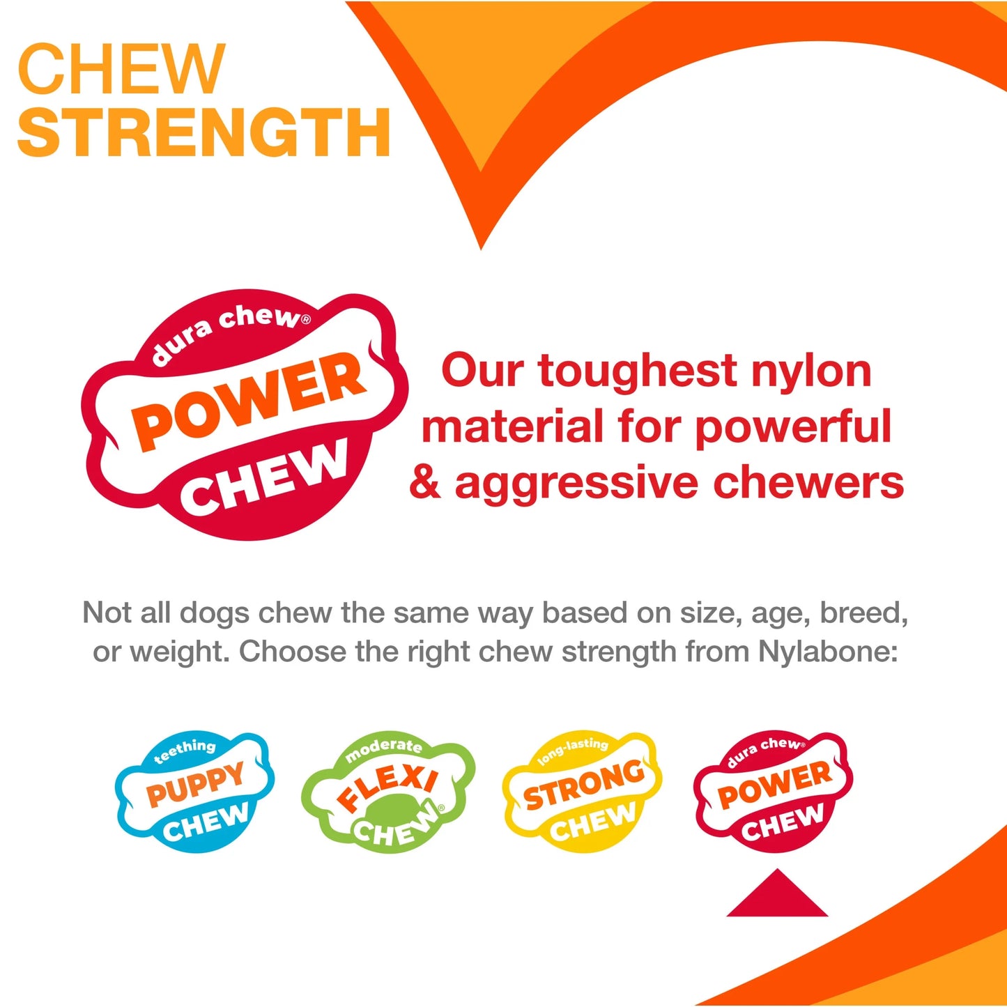 Power Chew Basted Blast Textured Bone Dog Chew Toy Large (1 Count)